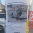 Αστεία εικόνα