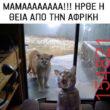 Αστεία εικόνα katharmata 2 – Ola rand FB