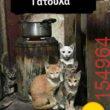 Αστεία εικόνα katharmata 2 – Ola rand FB