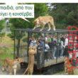 Αστεία εικόνα katharmata 2 – Ola rand FB