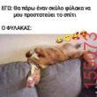 Αστεία εικόνα katharmata 2 – Ola rand FB