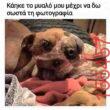 Αστεία εικόνα katharmata 2 – Ola rand FB