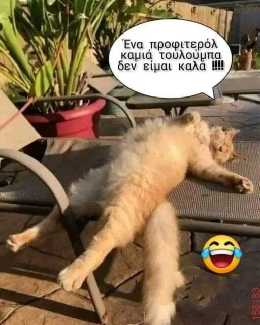 Αστεία εικόνα katharmata 2 – Ola rand FB