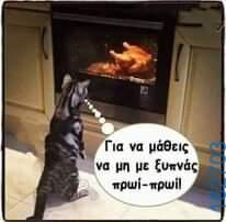Αστεία εικόνα