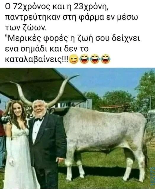 Αστεία εικόνα