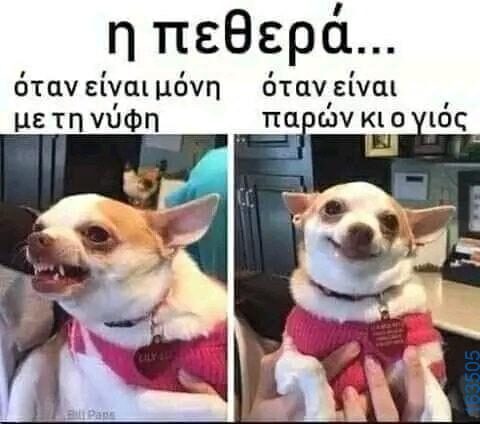 Αστεία εικόνα