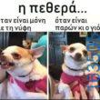 Αστεία εικόνα