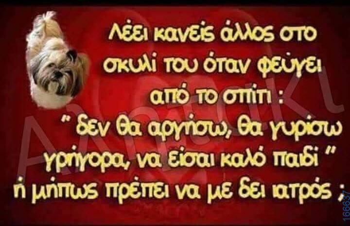 100066303475822_792211279665647-Αστεία εικόνα-kanelikegianablepistakalitera