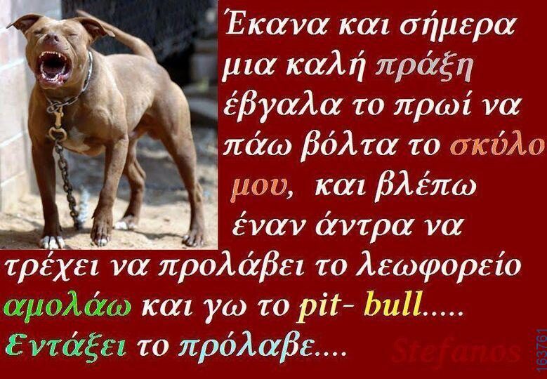 Αστεία εικόνα