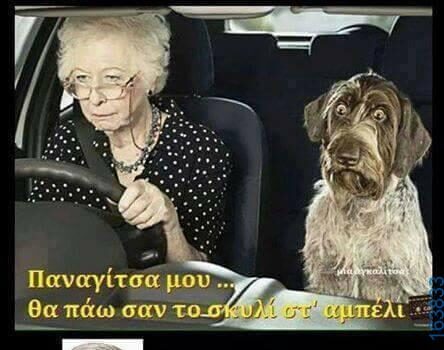 Αστεία εικόνα