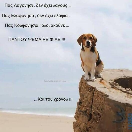 Αστεία εικόνα