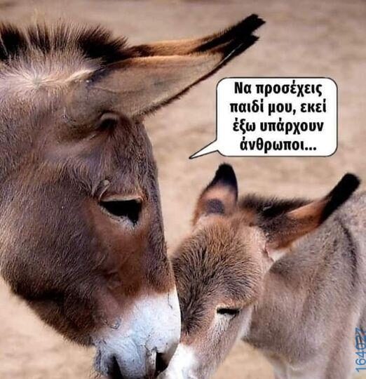 Αστεία εικόνα
