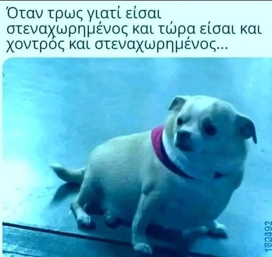 100083112073582_436899622423770_Αστεία εικόνα-Βουνα