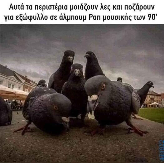 100083112073582_445443018236097_Αστεία εικόνα-Βουνα
