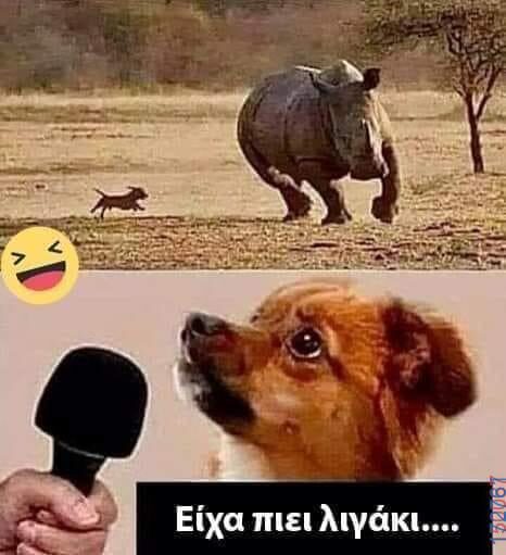 100083112073582_449257351187997_Αστεία εικόνα-Βουνα