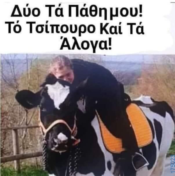 100064617523192_870569511773625-Αστεία εικόνα-treladikovivalatrelaaa2