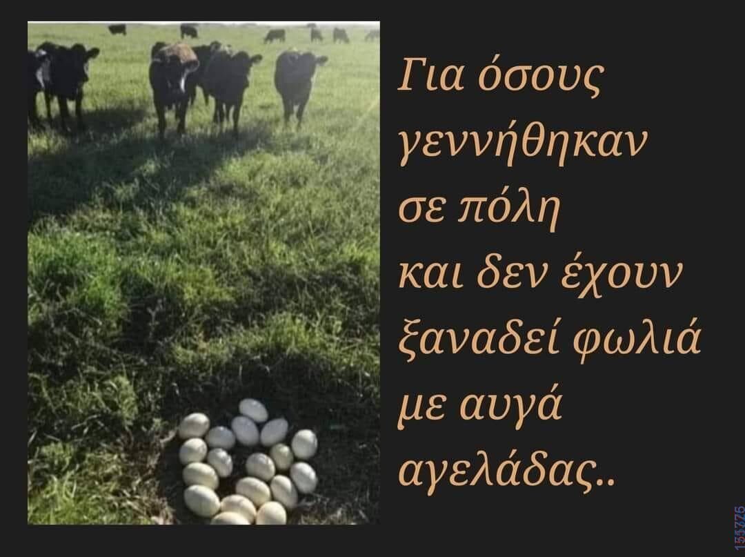 100083112073582_463546589759073_Αστεία εικόνα-Βουνα