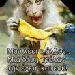 100083112073582_490685933711805_vouna_asteia_eikona