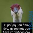 katharmata 2 – Ola rand FB 61553254332572_122155809320108477