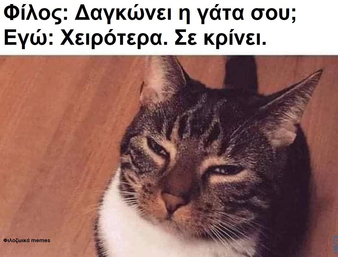 Αστεία εικόνα