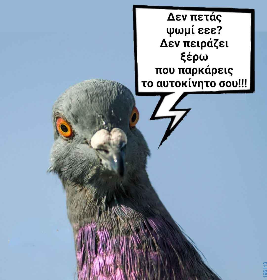 Αστεία εικόνα