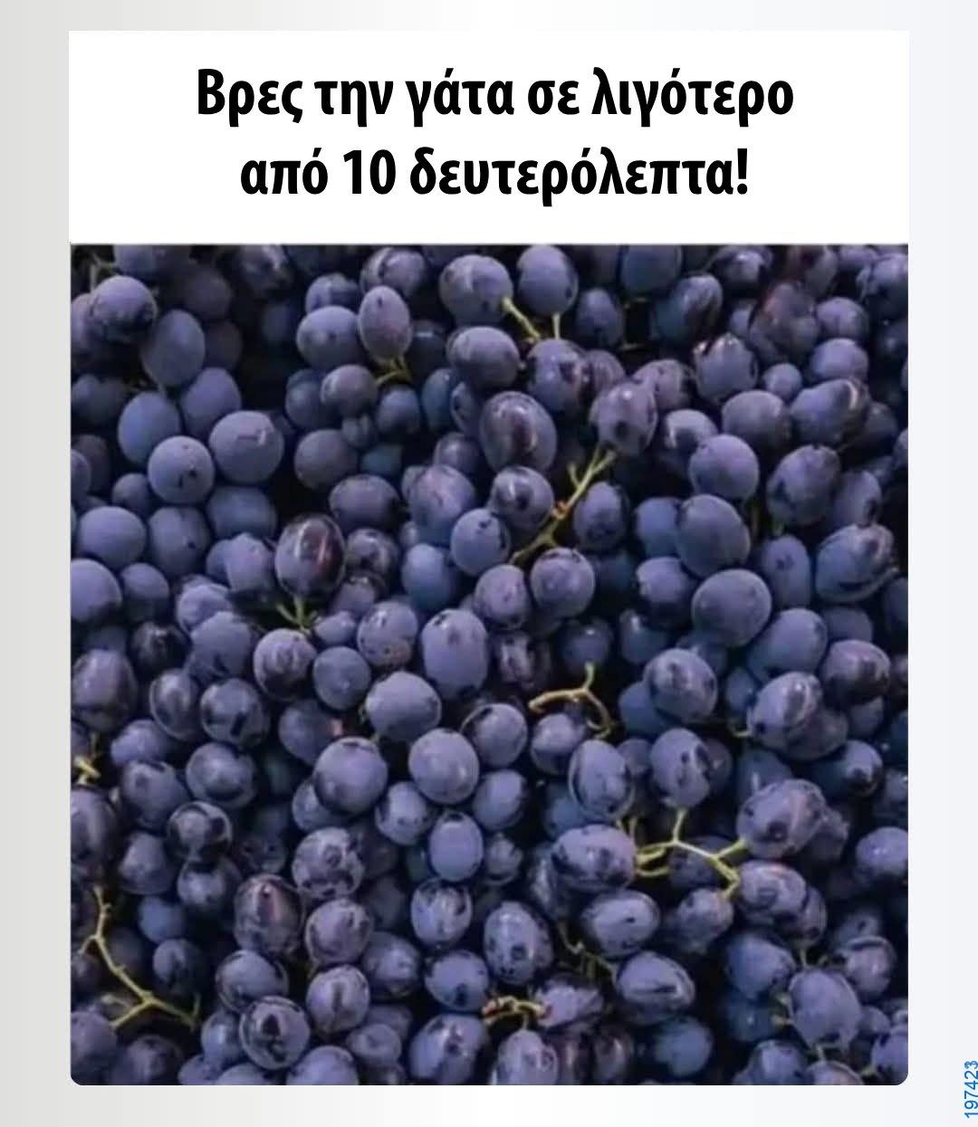 Αστεία εικόνα