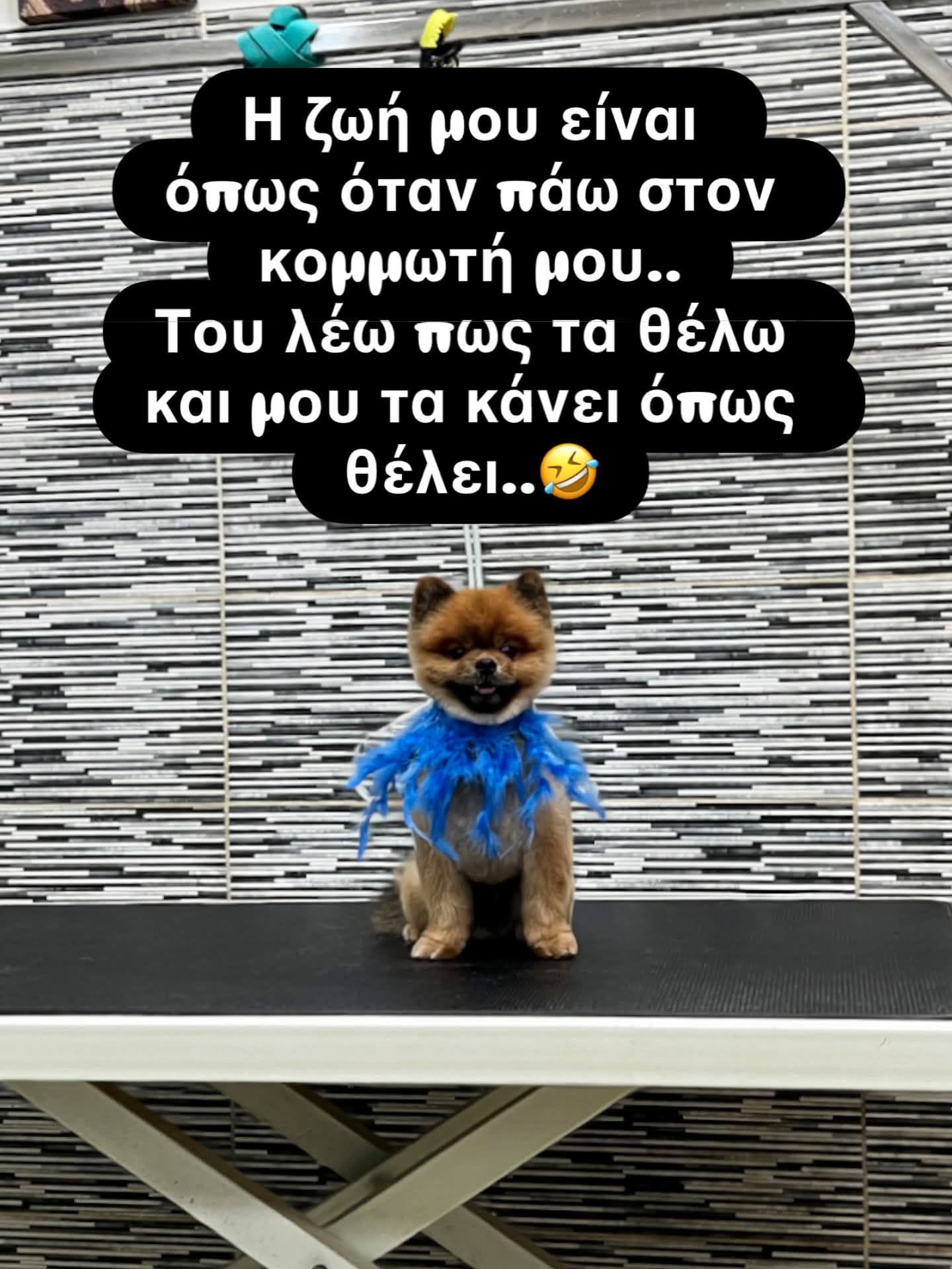 Funny Image